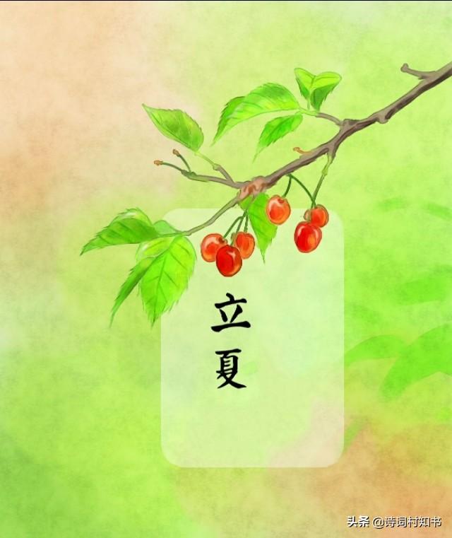 赞美夏天的诗句赏析（夏日古诗词16首）