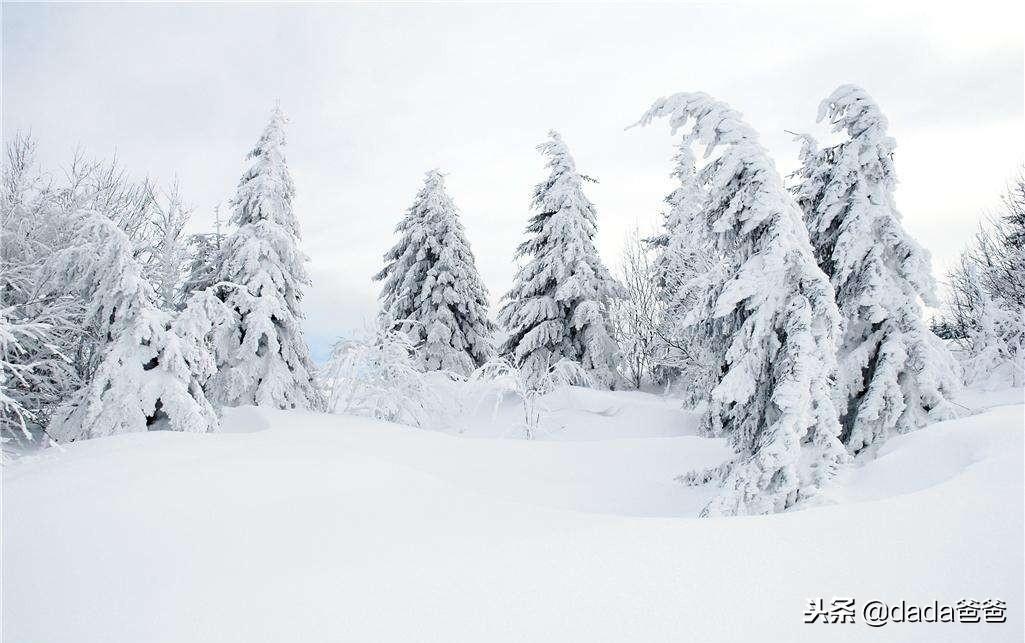 含雪的古诗词大全（含雪的诗词26首）