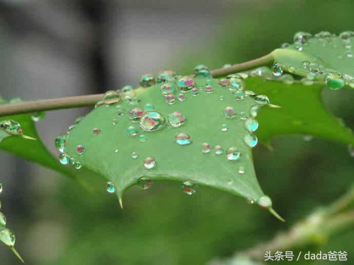 春雨优美诗词大全（描写春雨的古诗21首）