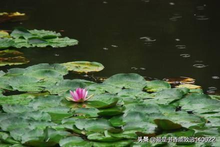 夏天的绝美诗句（35首描写夏天的雨的古诗词）