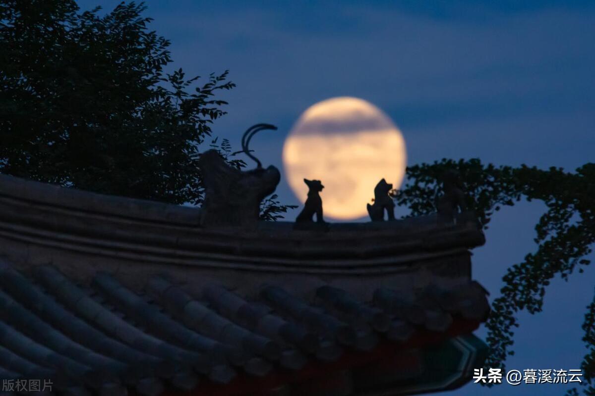 八首唯美的落花诗词（乱红如雨，如梦如仙）