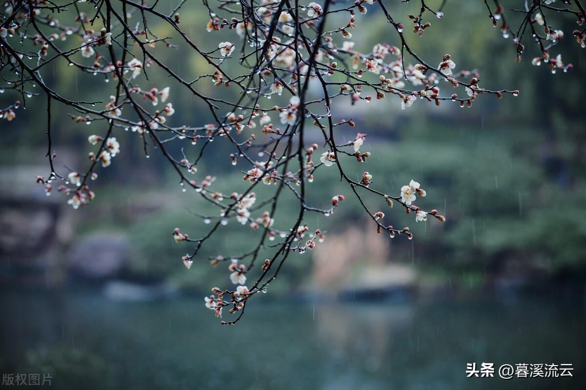 苏轼诗词名句精选（苏轼人生豁达的古诗词）