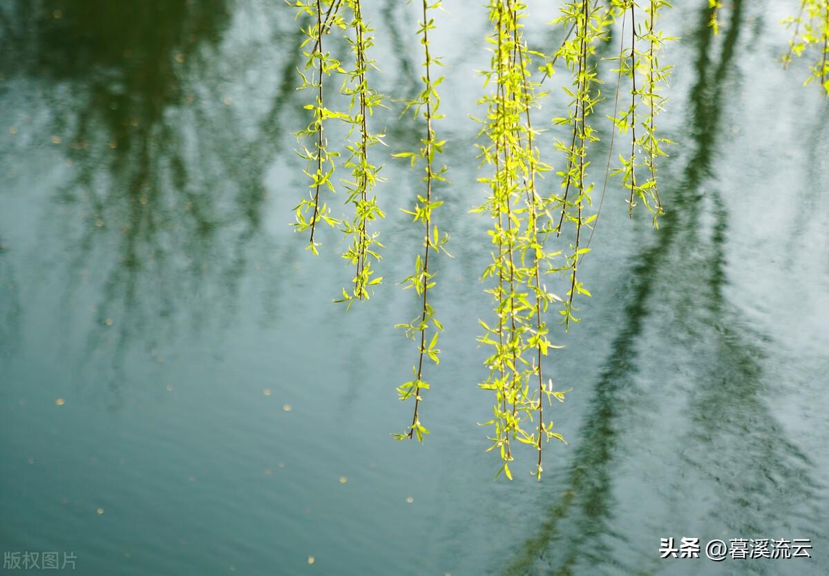 苏轼诗词名句精选（苏轼人生豁达的古诗词）