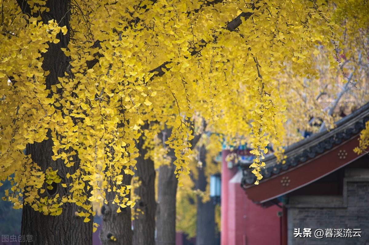 忽有故人心上过，回首山河已是秋（30首绝美深秋诗词）