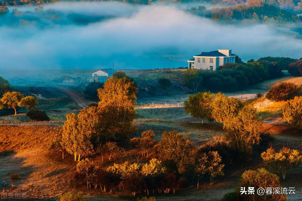 露深花气冷，一夜霜寒木叶秋（十首清寒霜降诗词）