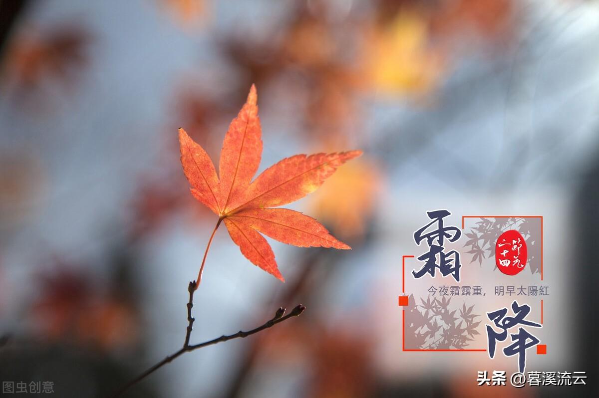 露深花气冷，一夜霜寒木叶秋（十首清寒霜降诗词）