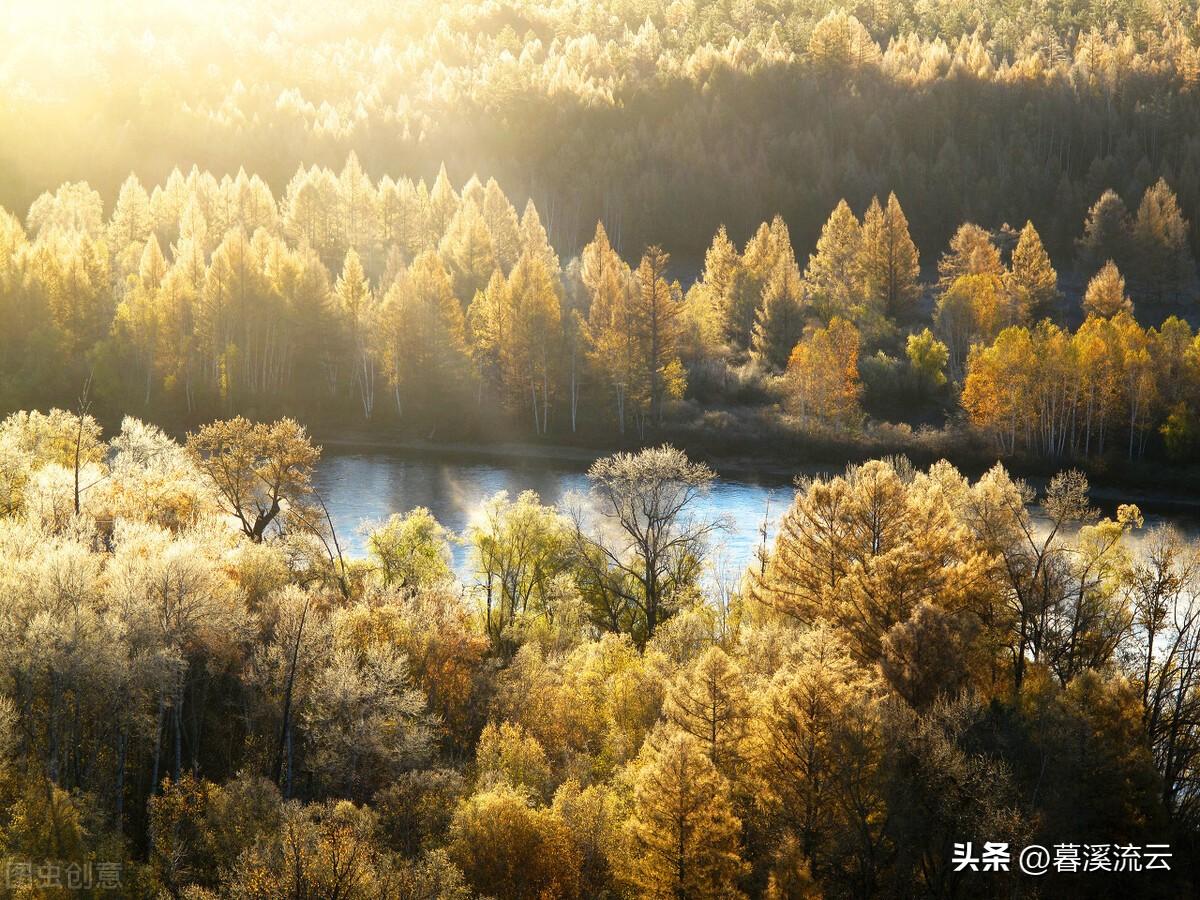 露深花气冷，一夜霜寒木叶秋（十首清寒霜降诗词）