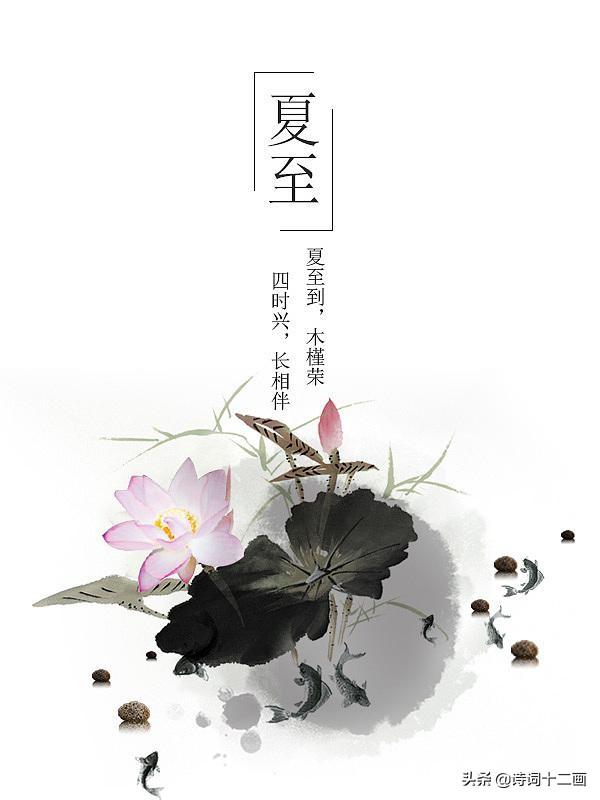 夏至诗词二十首赏析（绿筠尚含粉，圆荷始散芳）