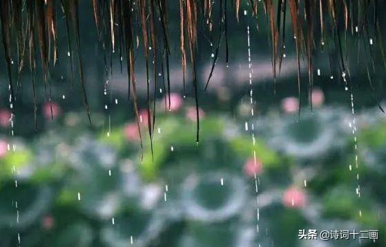 梅雨优美诗词二十一首（檐雨筛珠响未休，枕前窗上频敲）