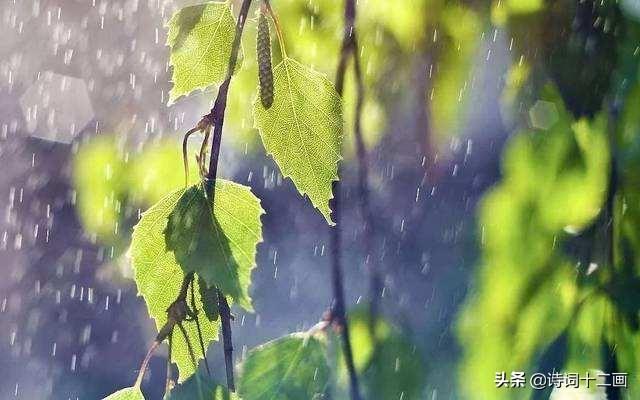 梅雨精选诗词二十二首（梅雨绵绵的诗词名句）