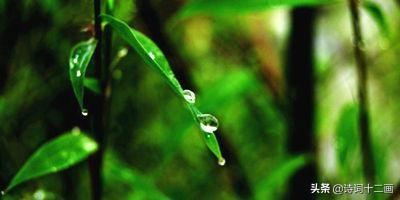 梅雨精选诗词二十二首（梅雨绵绵的诗词名句）