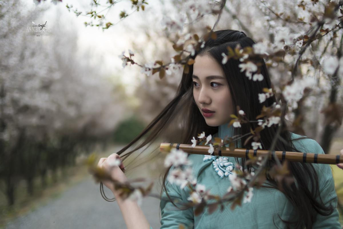 1一6年级有关梅花古诗词赏析（10首李清照唯美梅花词）