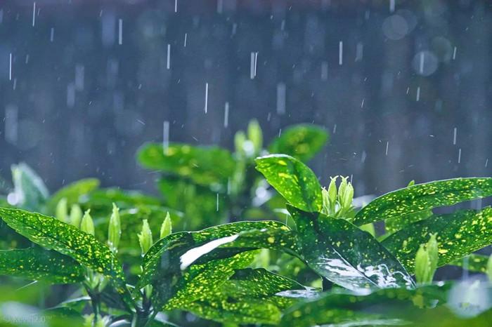 江南烟雨意境好的诗句（经典梅雨诗词9首）