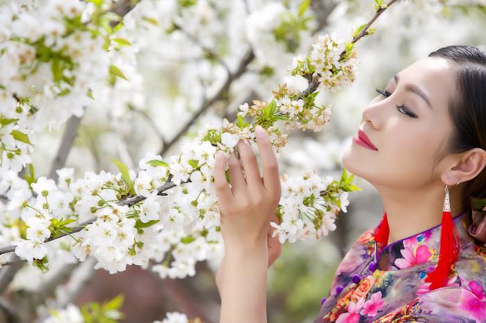 形容梨花唯美诗词赏析（十首描写梨花的诗词）