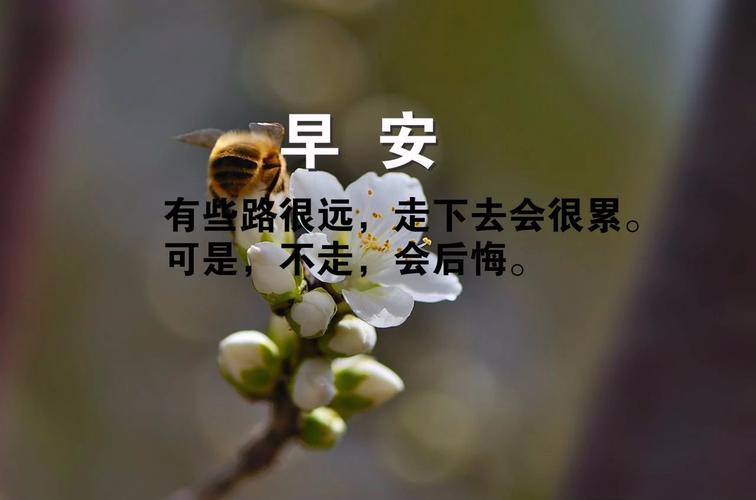 有关早安短励志名言一句话的短句有哪些（清晨的美好，你我共享）