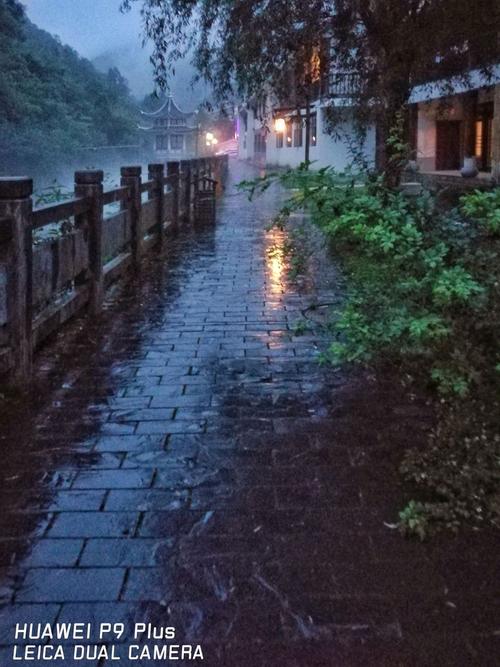 雨中漫步的唯美句子经典语句_秋雨露（雨中漫步：荡漾心灵的美）