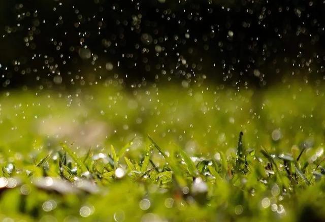 雨中漫步的唯美句子经典语句_秋雨露（雨中漫步：荡漾心灵的美）