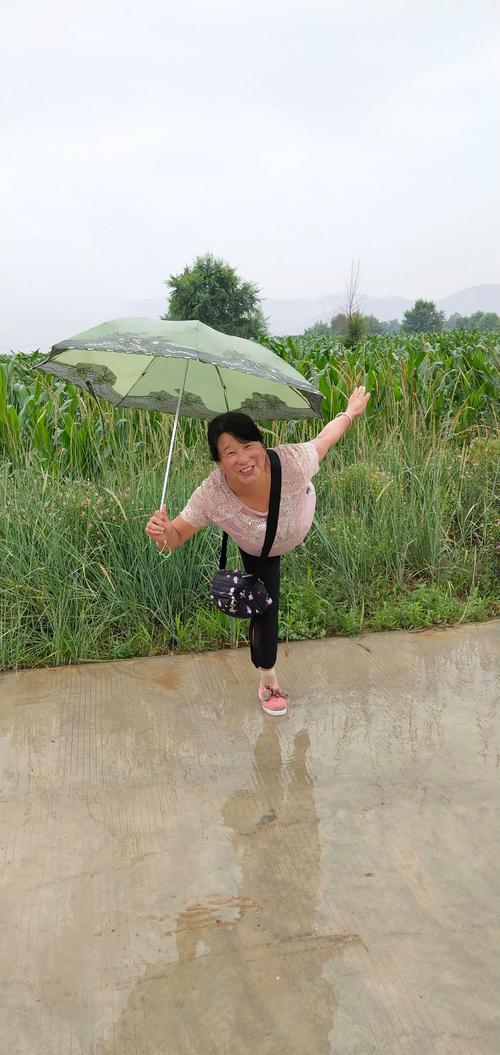 有关雨后的唯美句子的句子摘抄（雨过天晴，唯美缤纷；）