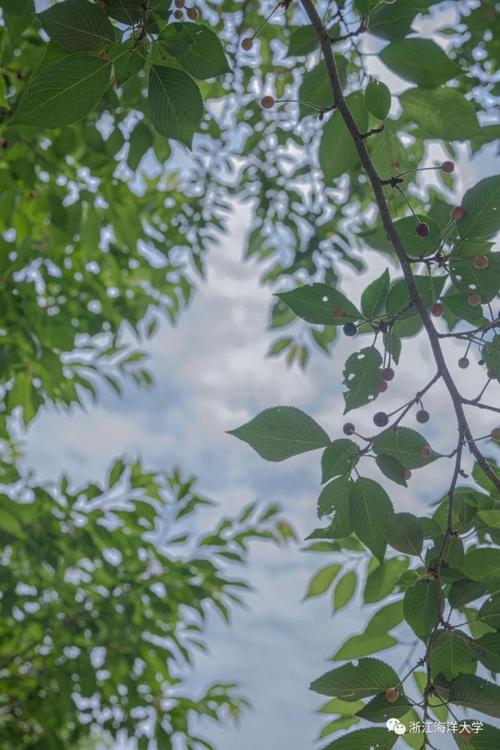 雨过天晴的唯美句子短句（雨过天晴）