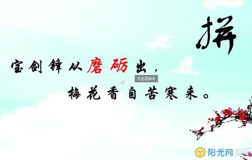 努力拼搏名言警句摘抄大全（25句唯美名言，让你更有动力）