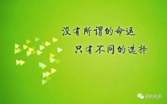 关于努力奋斗的语句（执着追求，不懈奋斗）