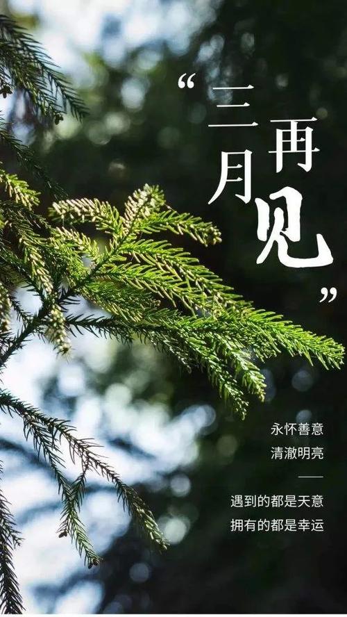 迎接3月的说说（三月春暖花开）