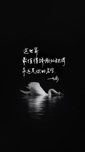 意境唯美的句子摘抄（感受文字所带来的美好）