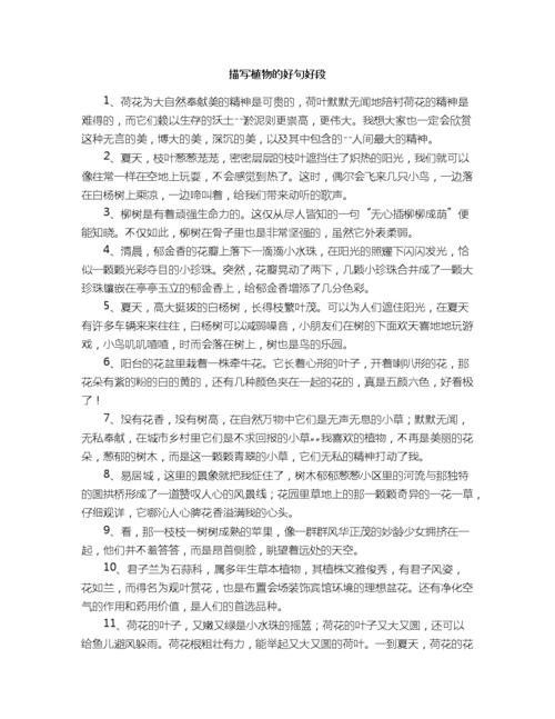 关于母亲的唯美句子题记（母亲之爱）