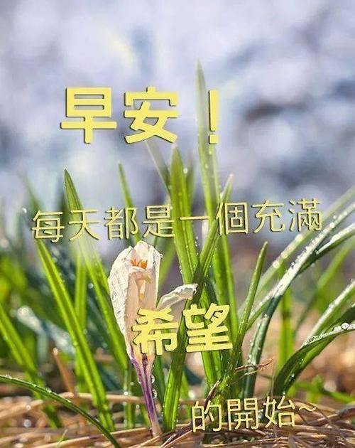 一天一句心情早安祝福语（25个段落，25种清晨的美好）