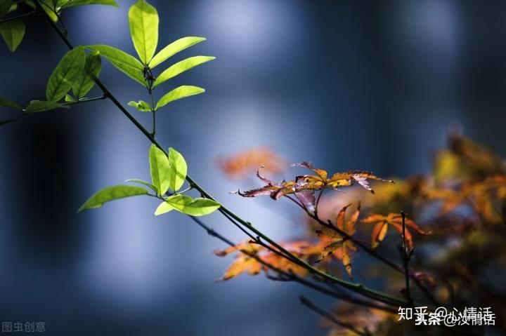 一场秋雨一场寒的幽默说说（秋雨绵绵，寒意袭人——写在秋雨季节的感悟）