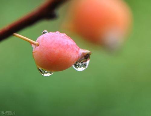 一场秋雨一场寒的幽默说说（秋雨绵绵，寒意袭人——写在秋雨季节的感悟）