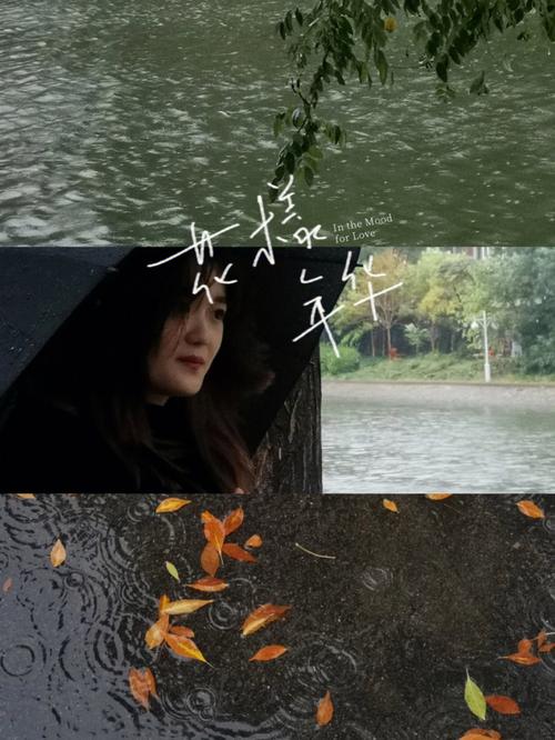 关于一场秋雨一场寒的唯美句子（秋雨一场，落叶与凉意）