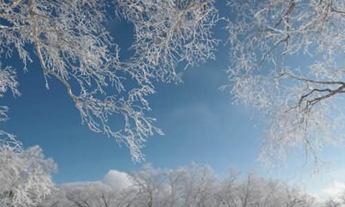 有关雪的优美句子大全（用唯美短句描绘形容雪的经典语句）