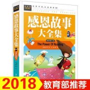 关于感恩青春的句子（以感恩之心，创造美好未来）