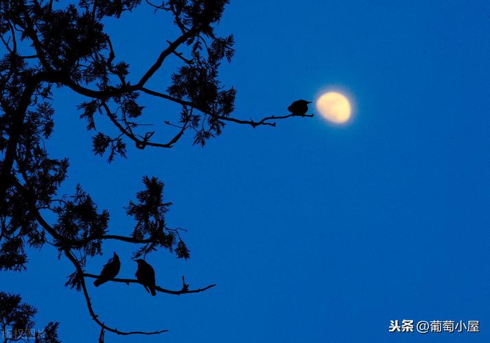 写夜晚的景色的好句（夜晚，梦想的起点）