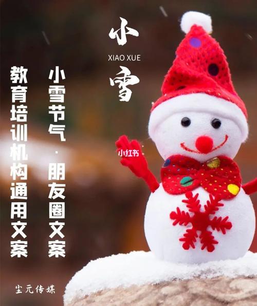 有关小雪朋友圈句子说说的句子简短（浪漫的短句，感动你我）