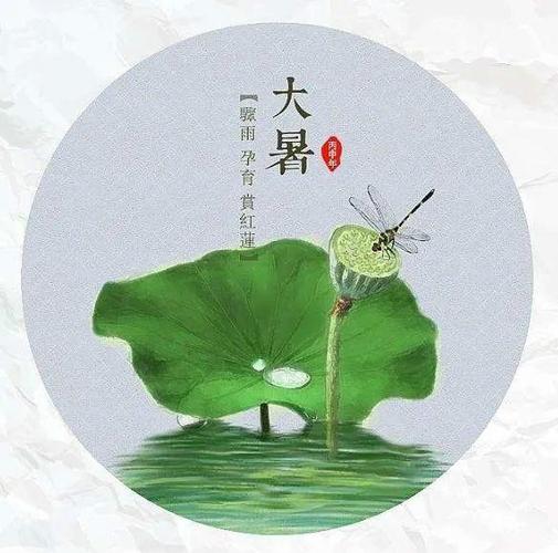 小暑节气短句（小暑芳华，田野丰收）