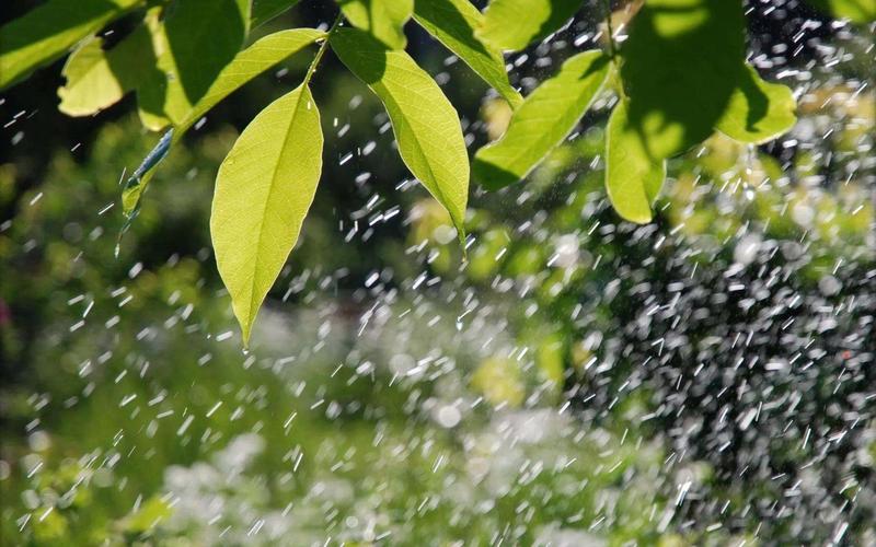 关于下雨天唯美的句子（唯美雨天）