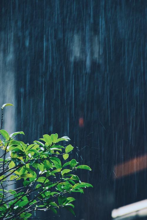 有关下雨天的唯美句子的好句摘抄（雨中寻找心灵的慰藉）