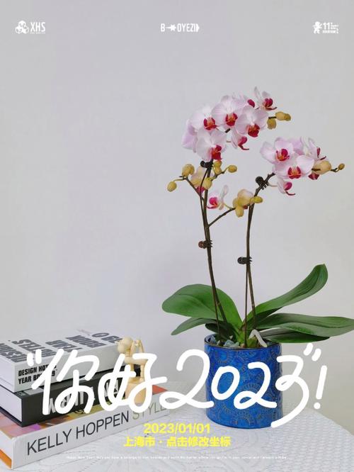 有关2023你好好句的好句子有哪些（唯美短句，让你的生活更有诗意）