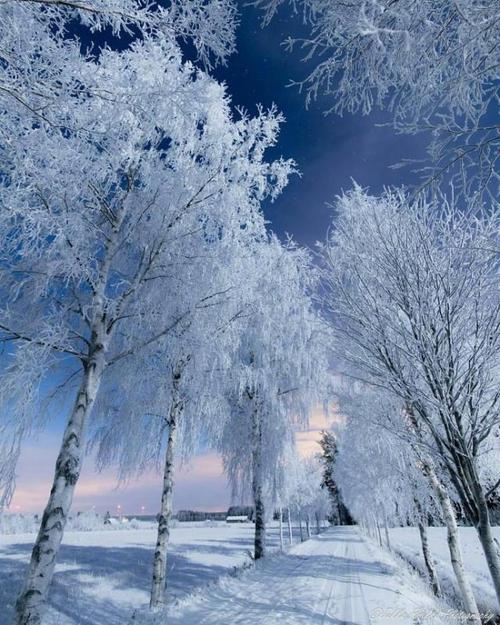 下雪天的心情说说,适合在下雪天发的说说（银装素裹，漫步雪景间）