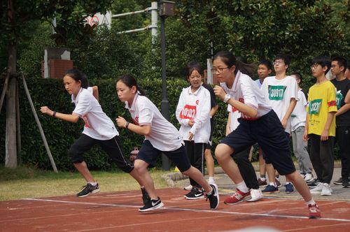 以校运会为话题作文500字（《跑出自己的极限——我的校运动会》）