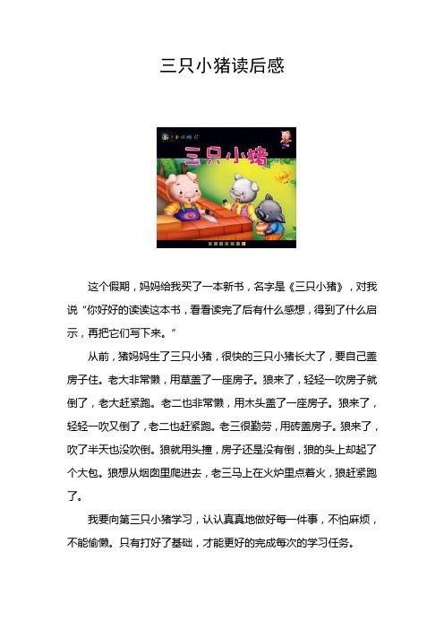 我得到了启示作文800字（《从失落到蜕变——我的人生启示》）