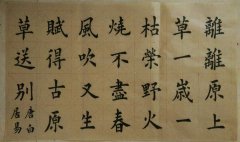 以小草为题的作文600字（《草的故事：勇敢拥抱生命》）