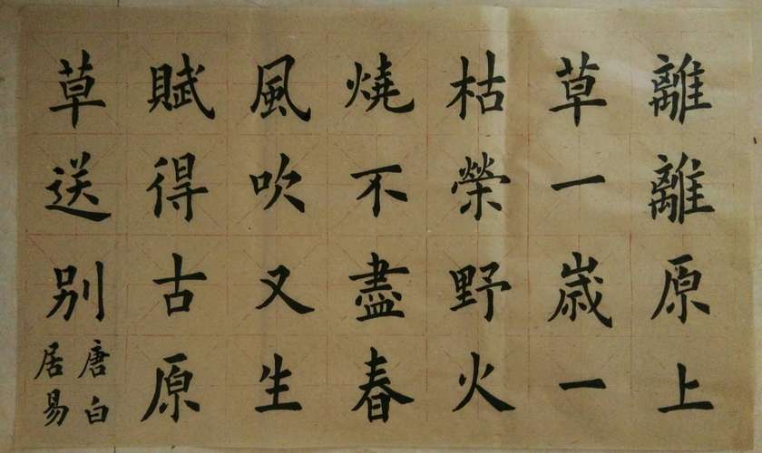 以小草为题的作文600字（《草的故事：勇敢拥抱生命》）