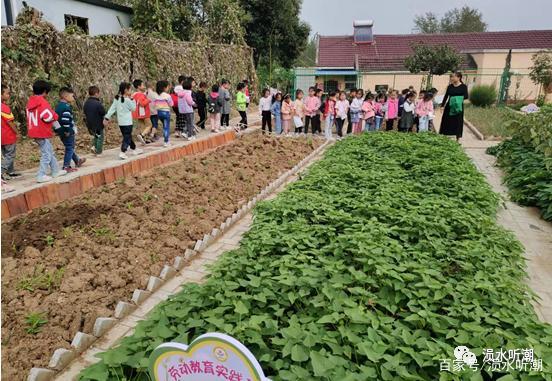 以劳动基地为话题的作文800字（《劳动基地里的生活琐事、感人的故事》）