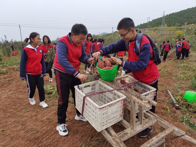 以劳动基地为话题的作文800字（《劳动基地里的生活琐事、感人的故事》）