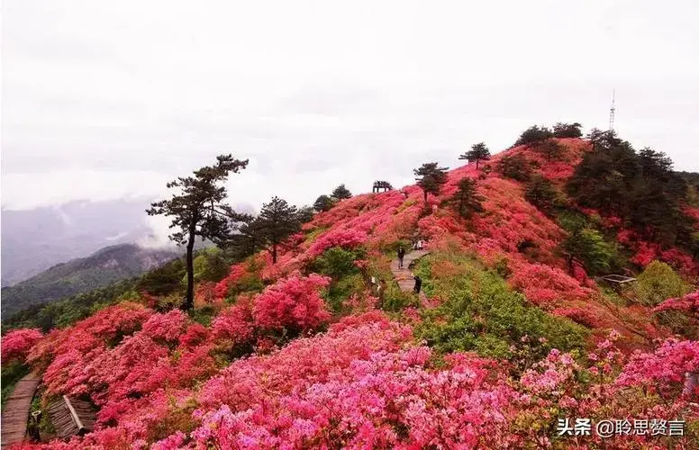 山行优美诗词有哪些（精选十二首山行诗词）