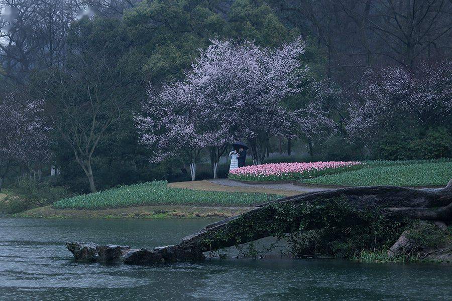 山行优美诗词有哪些（精选十二首山行诗词）