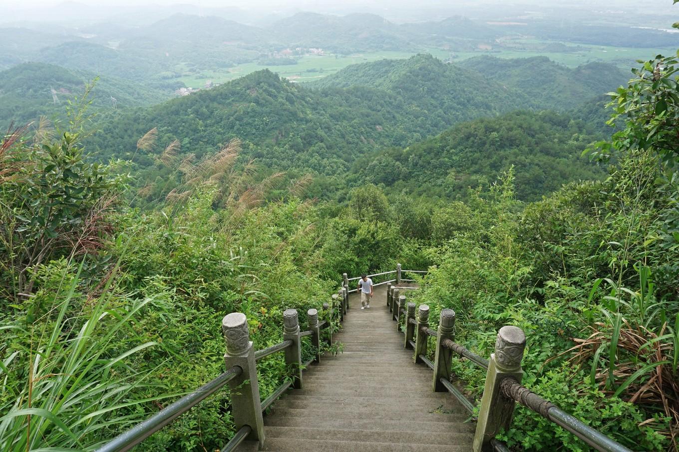 山行优美诗词有哪些（精选十二首山行诗词）